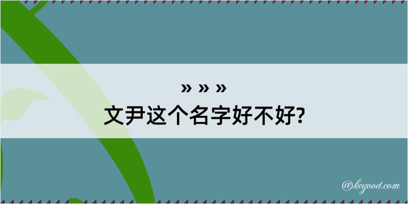 文尹这个名字好不好?