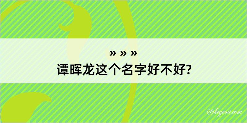 谭晖龙这个名字好不好?