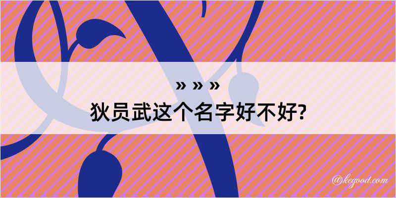 狄员武这个名字好不好?