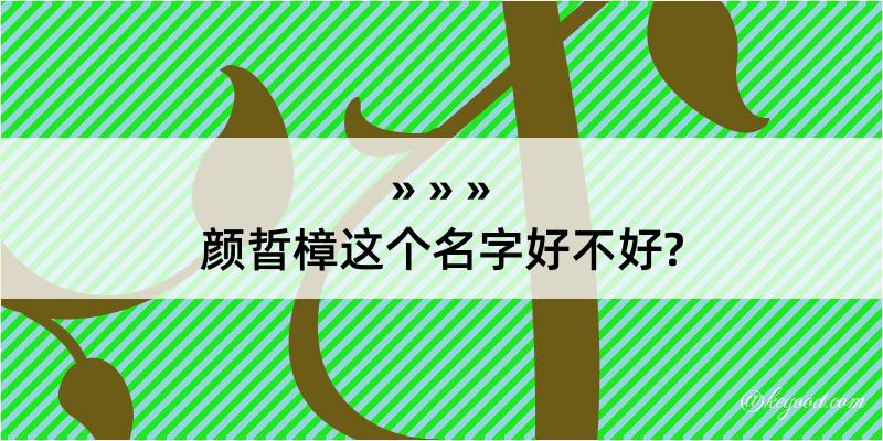 颜晢樟这个名字好不好?