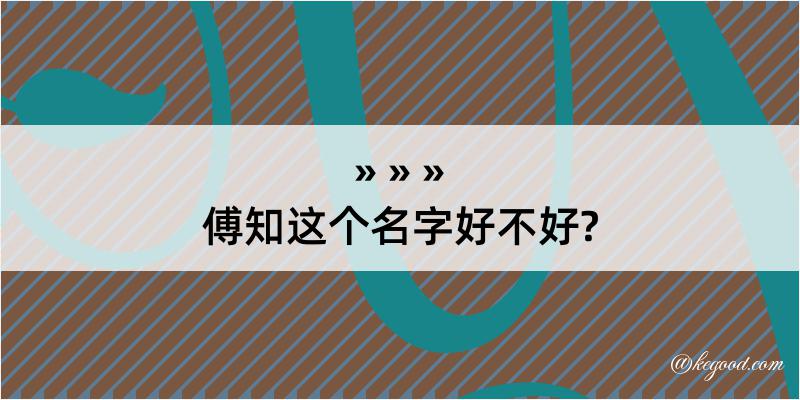 傅知这个名字好不好?