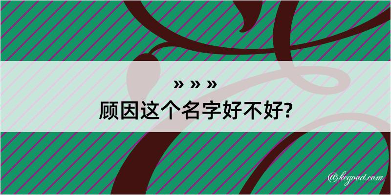 顾因这个名字好不好?