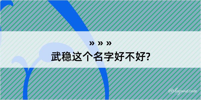 武稳这个名字好不好?