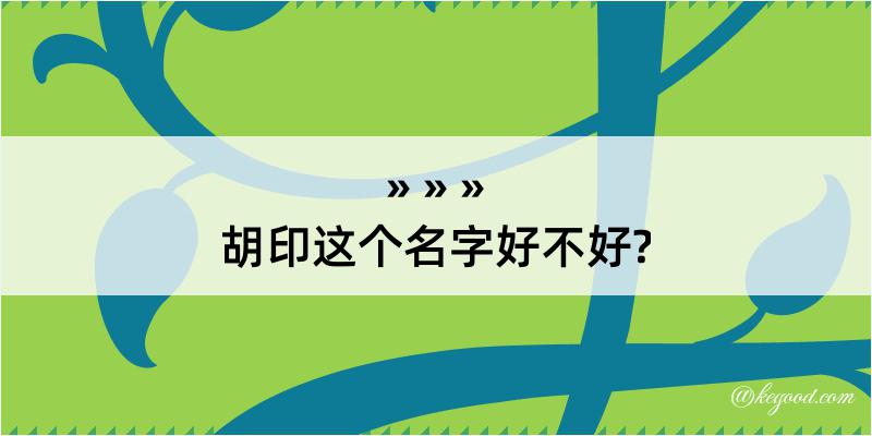 胡印这个名字好不好?