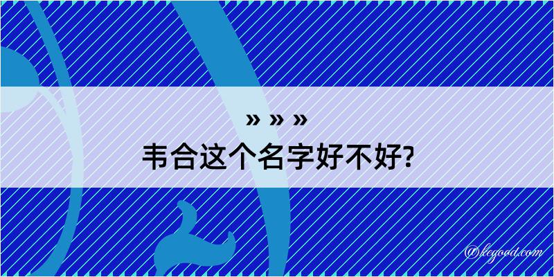 韦合这个名字好不好?