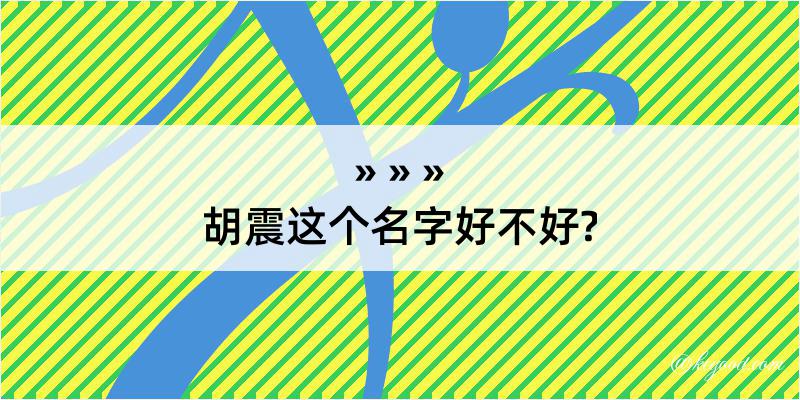 胡震这个名字好不好?