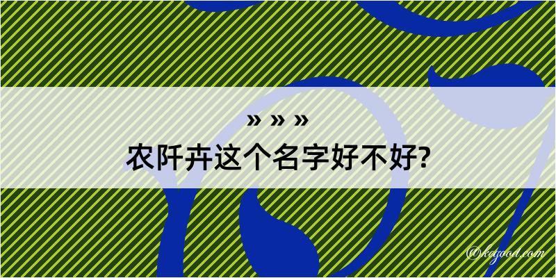 农阡卉这个名字好不好?