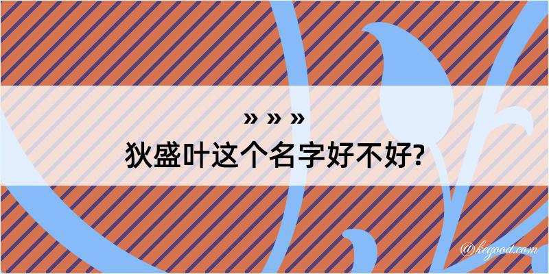 狄盛叶这个名字好不好?