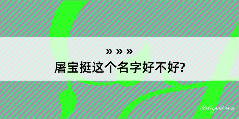 屠宝挺这个名字好不好?