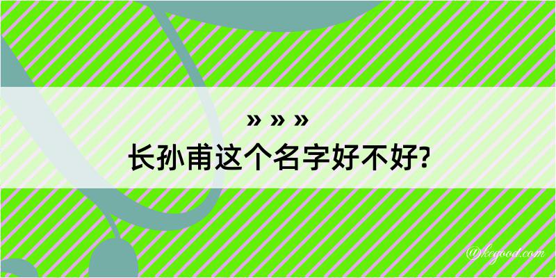 长孙甫这个名字好不好?