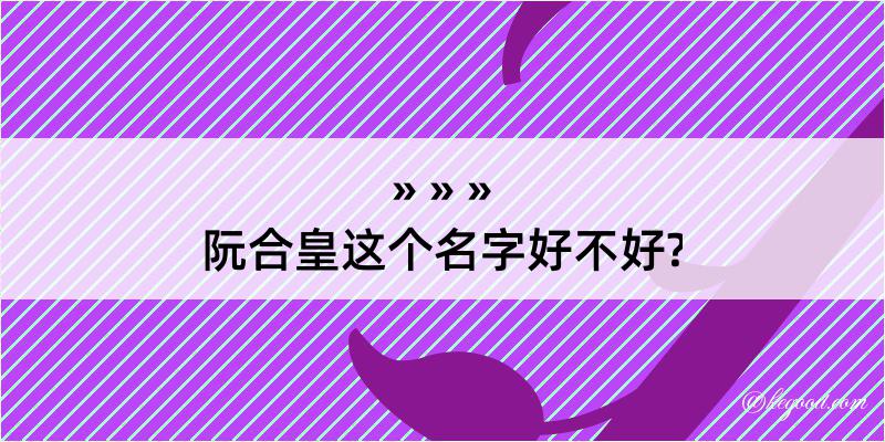 阮合皇这个名字好不好?