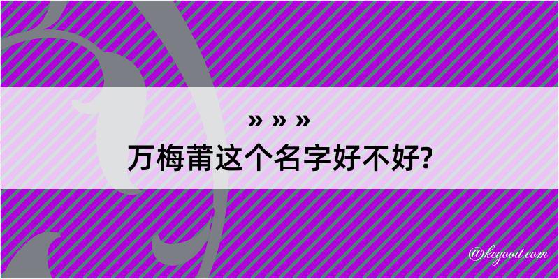 万梅莆这个名字好不好?