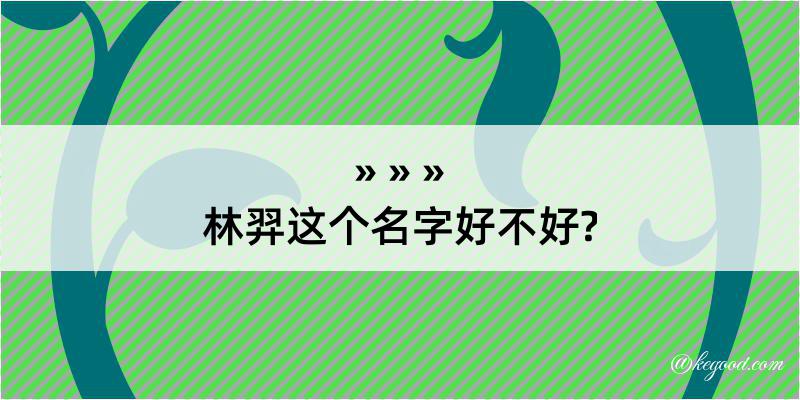 林羿这个名字好不好?