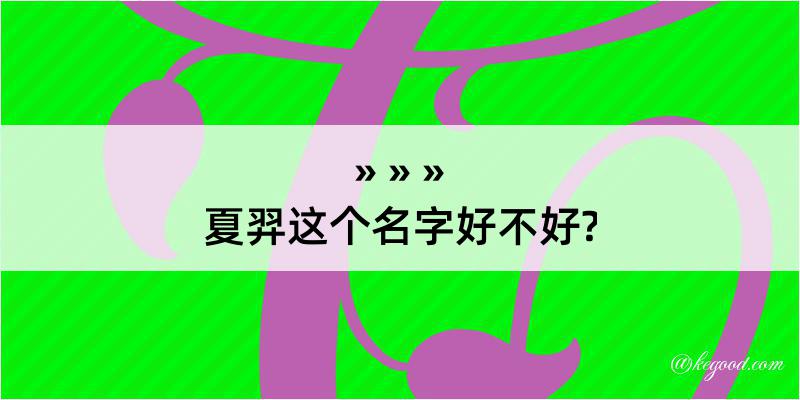 夏羿这个名字好不好?