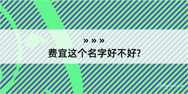 费宜这个名字好不好?