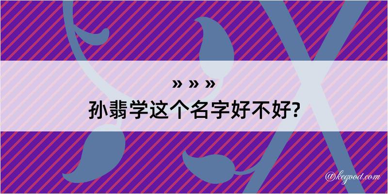 孙翡学这个名字好不好?