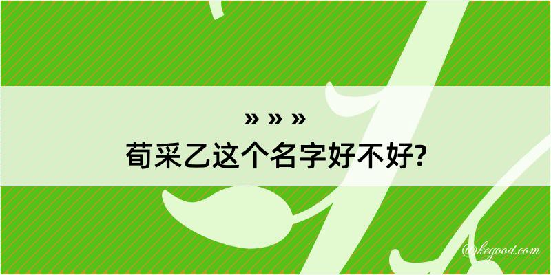 荀采乙这个名字好不好?