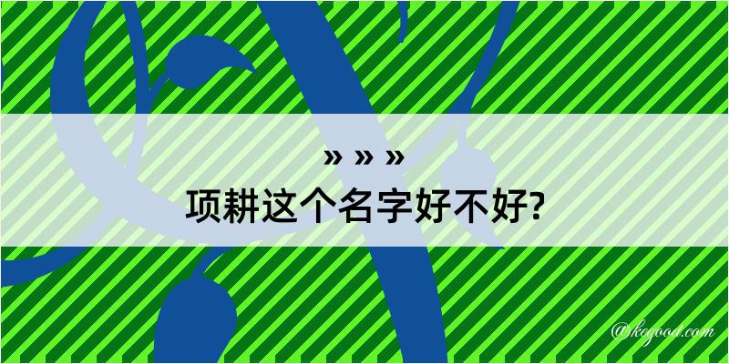 项耕这个名字好不好?