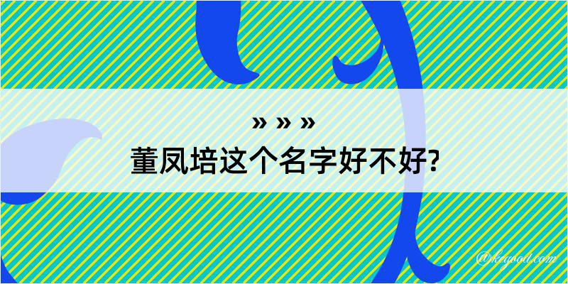 董凤培这个名字好不好?