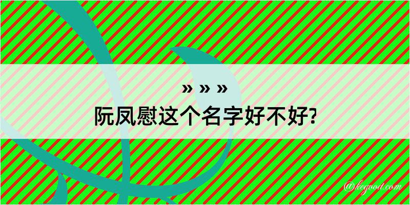 阮凤慰这个名字好不好?