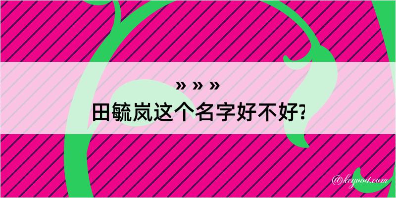 田毓岚这个名字好不好?