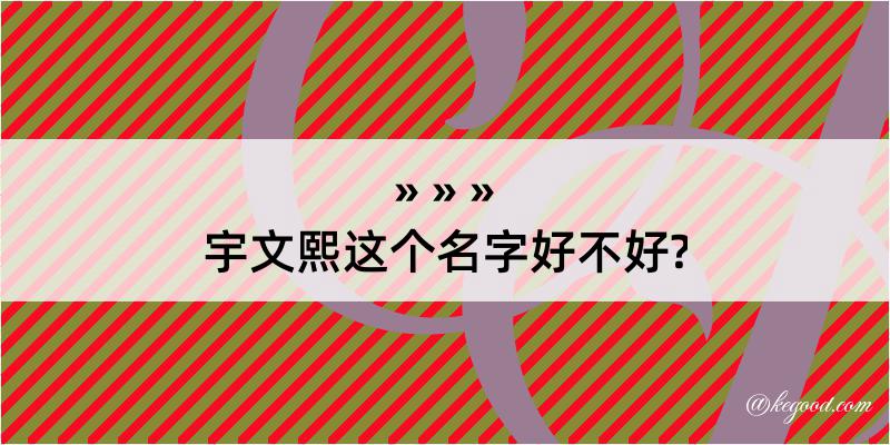 宇文熙这个名字好不好?