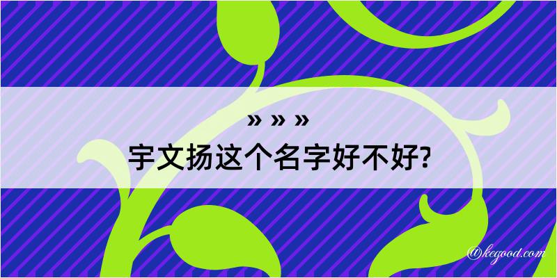 宇文扬这个名字好不好?