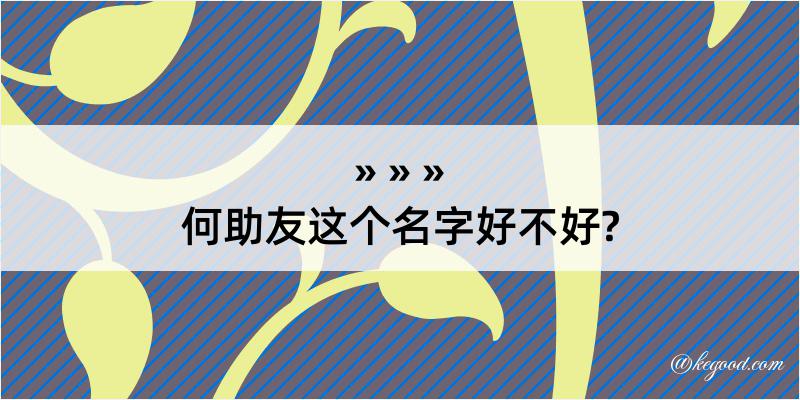 何助友这个名字好不好?