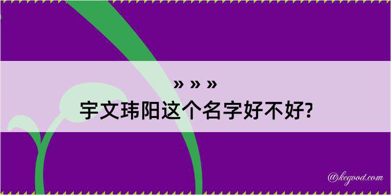 宇文玮阳这个名字好不好?