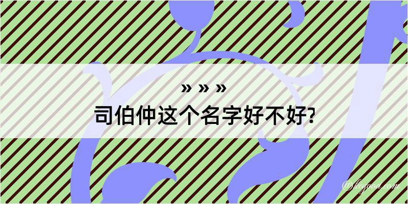 司伯仲这个名字好不好?