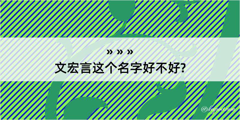 文宏言这个名字好不好?