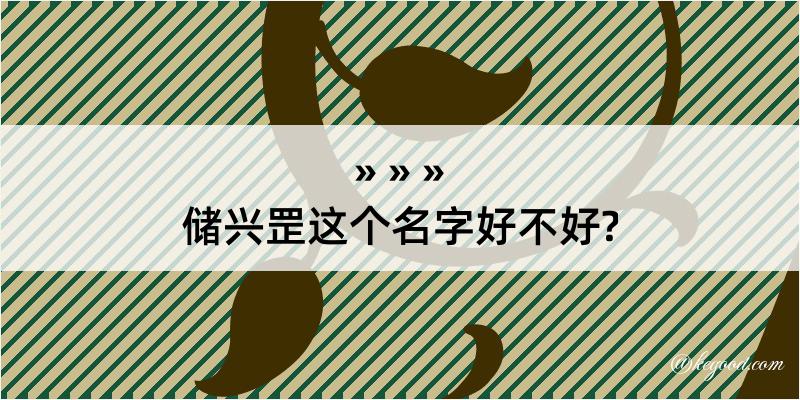 储兴罡这个名字好不好?