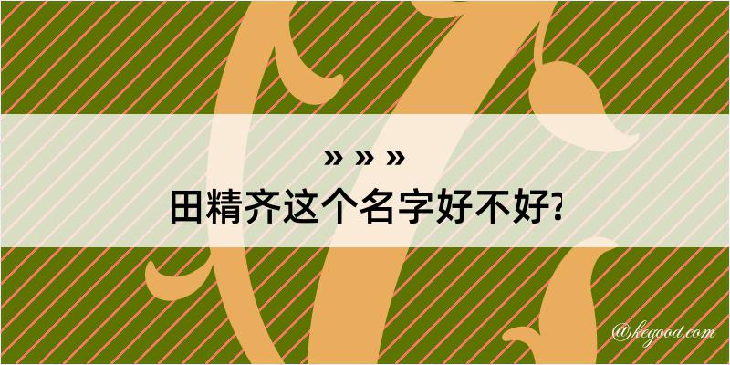 田精齐这个名字好不好?