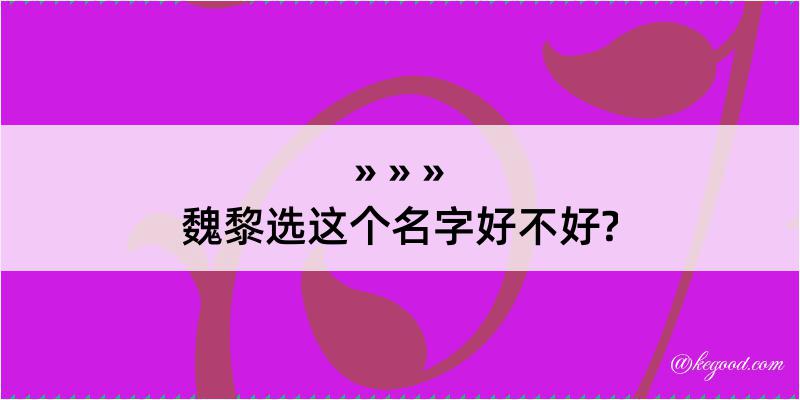 魏黎选这个名字好不好?