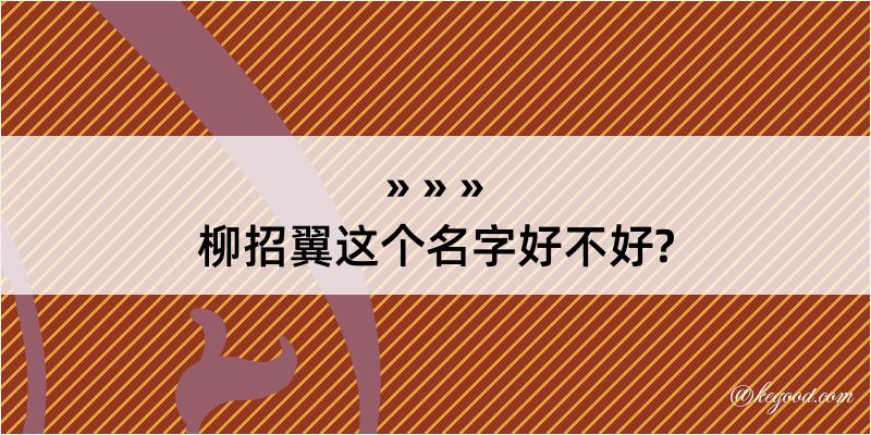 柳招翼这个名字好不好?