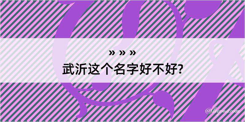 武沂这个名字好不好?