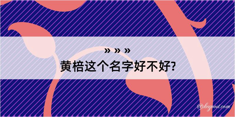 黄棓这个名字好不好?