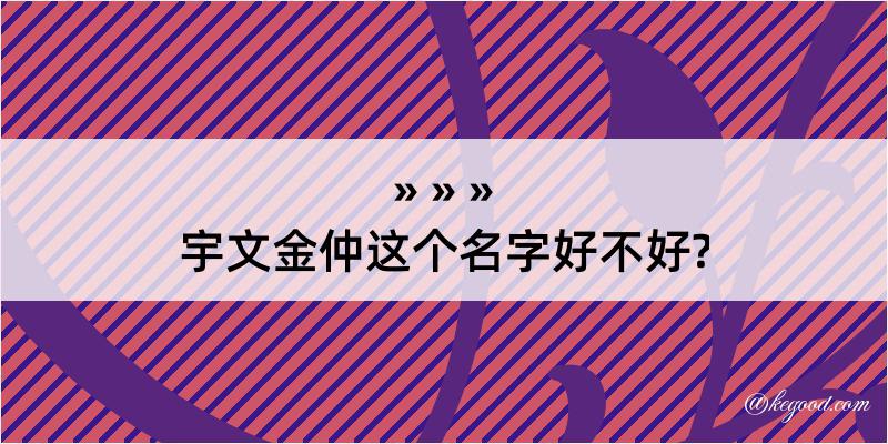 宇文金仲这个名字好不好?