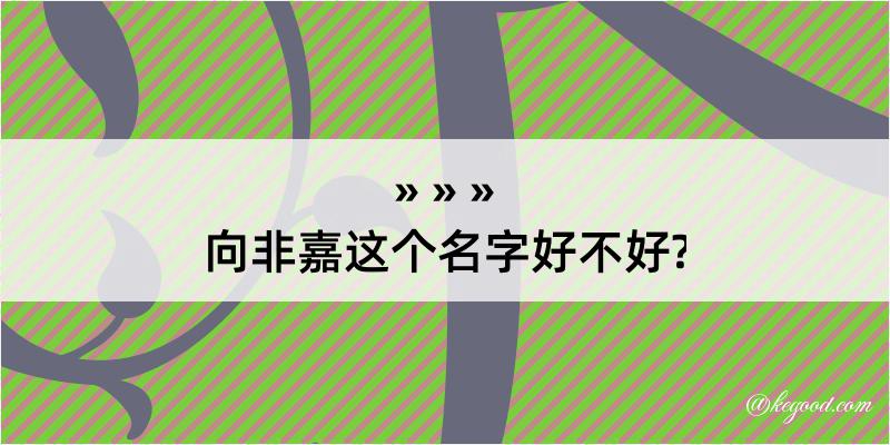 向非嘉这个名字好不好?