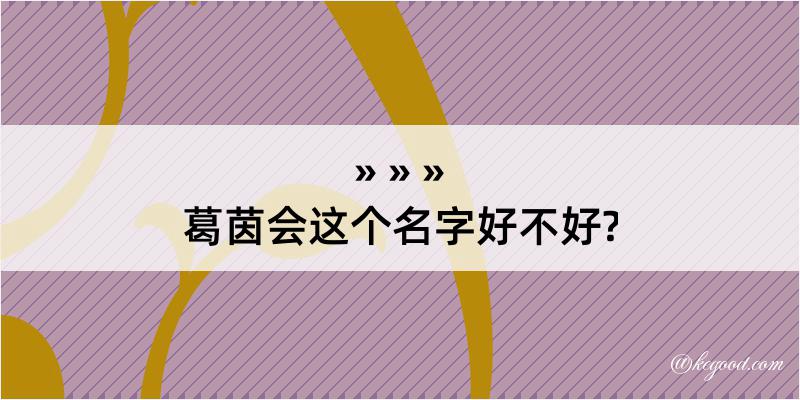 葛茵会这个名字好不好?