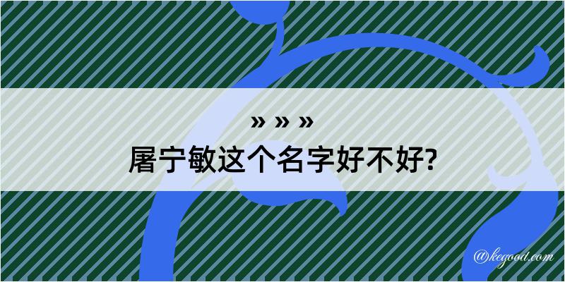 屠宁敏这个名字好不好?