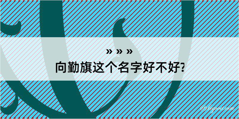 向勤旗这个名字好不好?