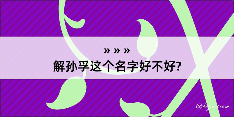 解孙孚这个名字好不好?