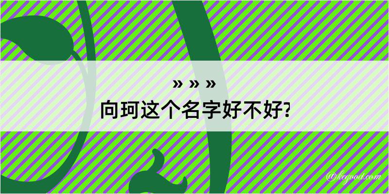 向珂这个名字好不好?