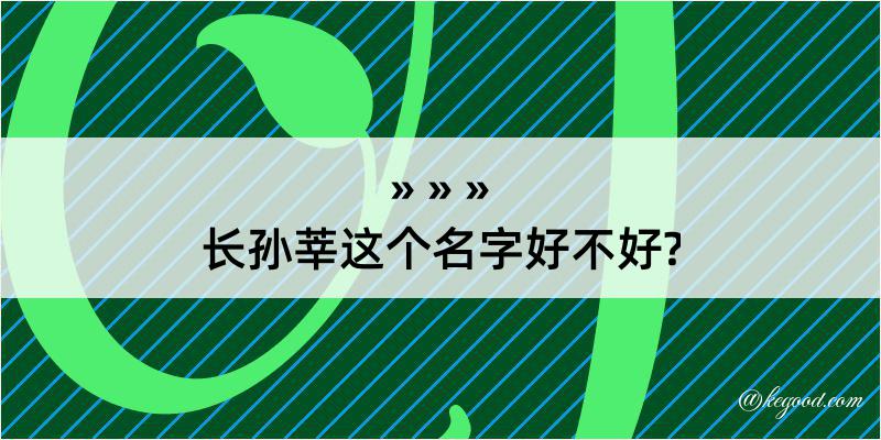 长孙莘这个名字好不好?