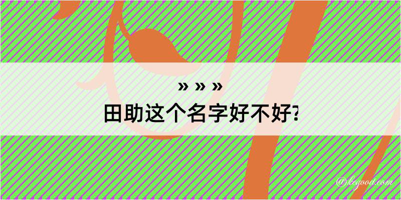 田助这个名字好不好?