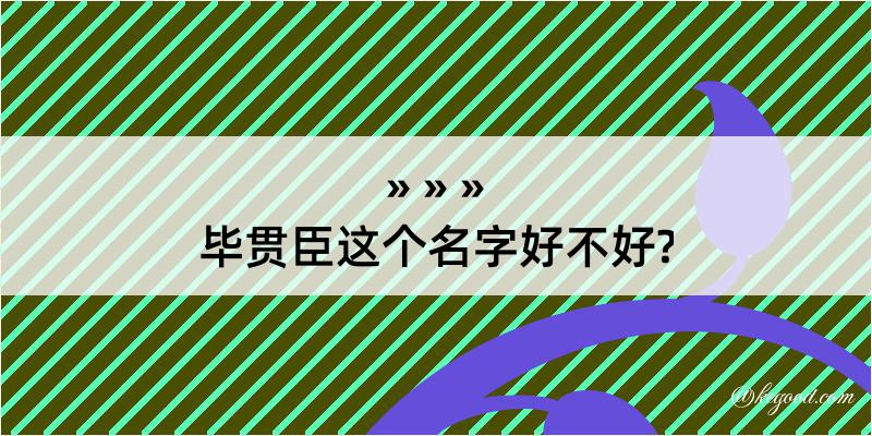 毕贯臣这个名字好不好?