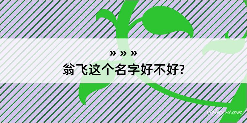 翁飞这个名字好不好?