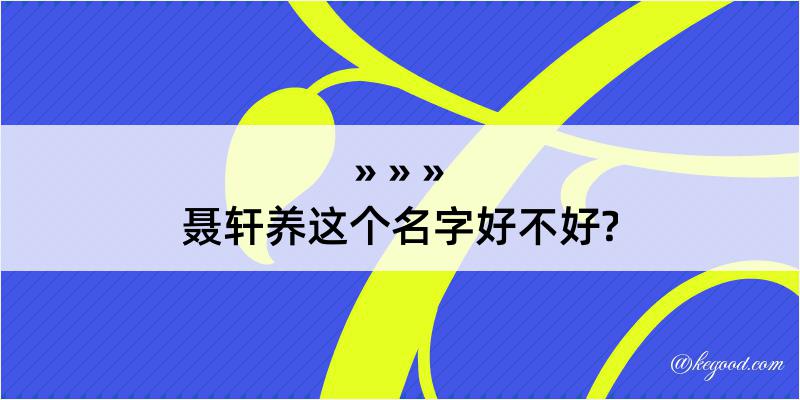 聂轩养这个名字好不好?