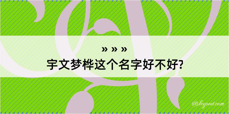 宇文梦桦这个名字好不好?